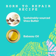 Carol's Daughter Born To Repair Nourishing Conditioner, Sulfate-Free Hair Care for Curly Hair with Shea Butter, 11 Fl Oz -...