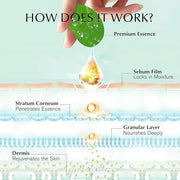 Under Eye Patches for Dark Circles: 30 Pairs Green Tea Eye Gels Pads - Reduce Eye Bags, Wrinkles & Puffy - Skin Treatment ...