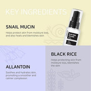 coxir BLACK SNAIL GIFT SET | Birthday Gifts | Foam Cleanser+Serum+Cream | Black Rice, Snail Mucin, Collagen, Peptide | Fir...