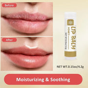 16 Pack Lip Balm, Natural Lip