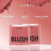 Blush Cheek Plum Color Mini - Blendable Purple Blush Powder - Enhances & Defines Shapes & Features - Shading & Contouring ...