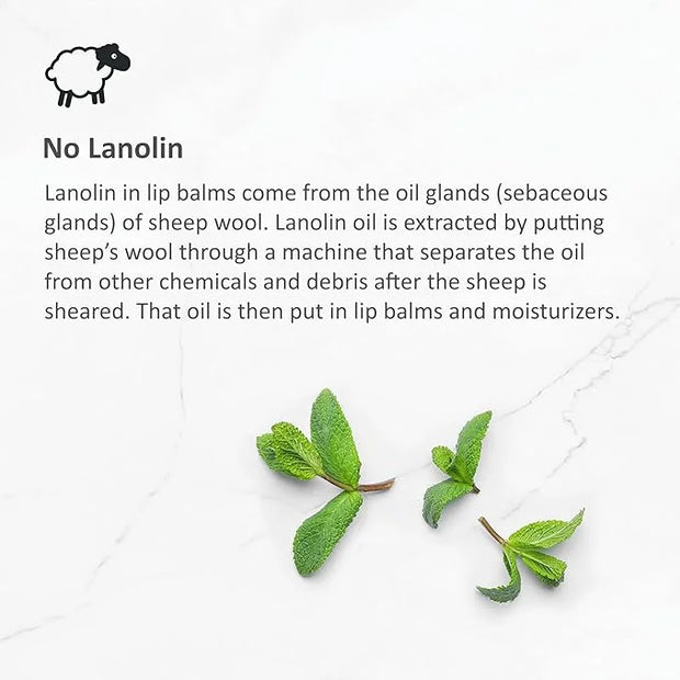Peppermint Lip Balm - Moisturizing Lip Formula