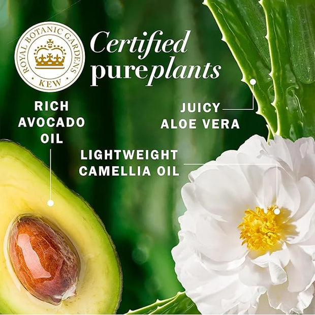 Herbal Essences Avocado Oil Sulfate Free Shampoo, Hair Repair, 13.5 Fl Oz, with Certified Camellia Oil and Aloe Vera, For ...