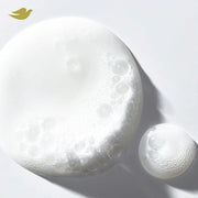 Dove Shampoo Intensive Repair for Damaged Hair with Bio-Protein Care Technology and Amino Serum 28 Fl Oz - Product Image