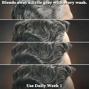 Just for Men Control GX Grey Reducing Shampoo for Textured Hair, Gradual Hair Color for Men with Keratin, 4 Fl Oz - Pack o...