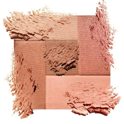 Palladio 2 In 1 Mosaic Powder Blush and Bronzer Silky Smooth Face Makeup Pressed Five Color Hues from Shimmering Pinks to ...