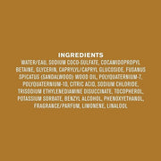 Every Man Jack Amber + Sandalwood Mens Body Wash Refill Starter Pouch - Naturally Derived Ingredients - Paraben Free, Phth...