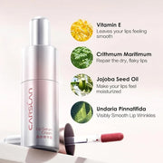 Hydrating Lip Serum Cream, Longlasting Moisturizing, Lightweight Lip Gloss, Semi-Matte Lipstick with Vitamin E, Crithmum M...