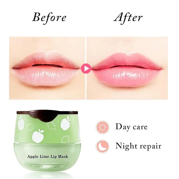 1PCS Bee Lip Balm Honey Pot,