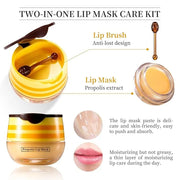 Bee Honey Lip Balm Honey Pot,