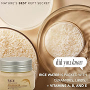 The Face Shop Rice Ceramide Moisturizing Cream - Rice Extract + Rice Bran Oil - Hydrating Targets Dryness, Brightening - D...