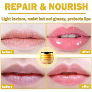2PCS Bee Lip Balm Honey Pot