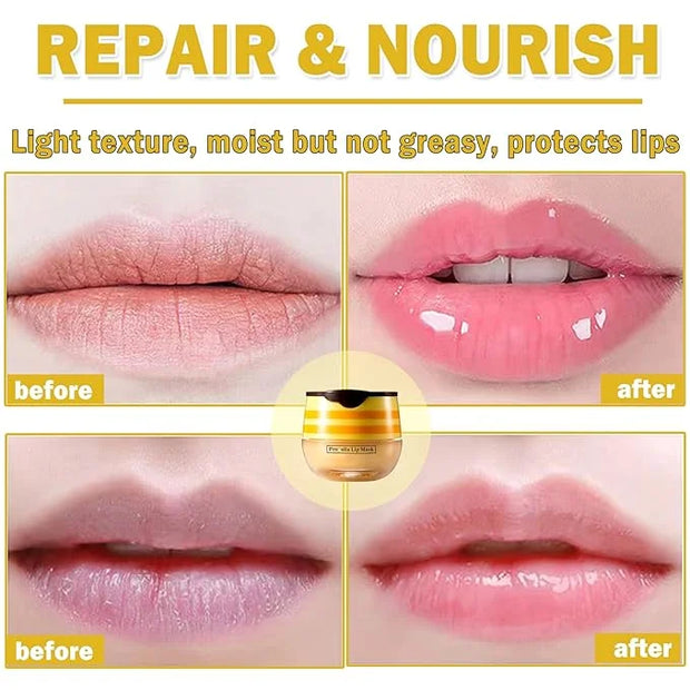 2PCS Bee Lip Balm Honey Pot