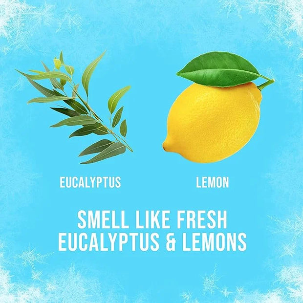 Axe Deodorant Body Spray - Ice Chill - Frozen Lemon & Eucalyptus - Net Wt. 4 OZ (113 g) Per Can - Pack of 2 Cans - Product...