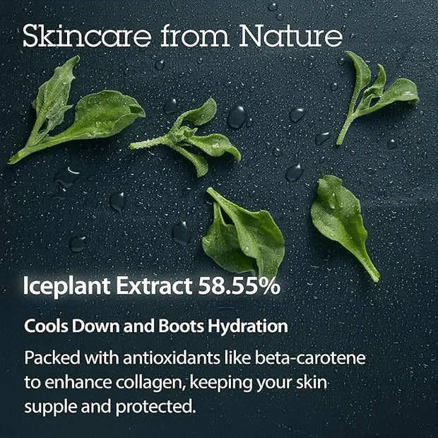 BLITHE Pressed Serum Crystal Iceplant Face Moisturizing Gel - Kbeauty Best Skin Cream for Dry Skin, Korean Serum for Combi...