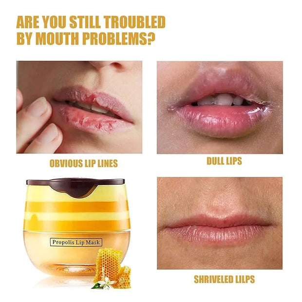 Honey Lip Balm Pot, Propolis Lip