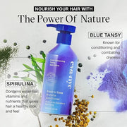 Eva NYC Brass to Sass Brunette Conditioner, Blue Conditioner for Brassy Hair, Neutralizes Brassy Red and Orange Tones, 8.8...