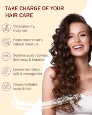 3% BHA Folliculitis Shampoo & Leave-On Hair Serum Set - Made with Salicylic Acid, Aloe Vera & Tea Tree Oil - Moisturizing ...
