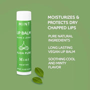 Mint Lip Balm Collection, Vegan Lip Lips,