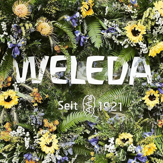 Weleda Everon Lip Balm, Soin Des