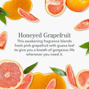 Beekman 1802 Pure Goat Milk Hand Cream, Honeyed Grapefruit - Scented - 2 oz - Moisturizing Lotion for Dry Skin - Anti-Agin...