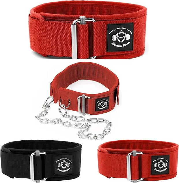 2 in 1 Weight Lifting & Weighted Dip - Product Image