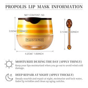 2 PCS Bee Honey Lip Balm