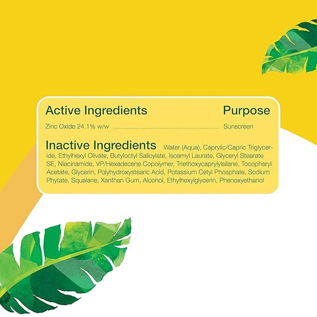 Alba Botanica Sunscreen for Face, Fragrance-Free Sheer Mineral Face Sunscreen Lotion, Broad Spectrum SPF 50, Water Resista...