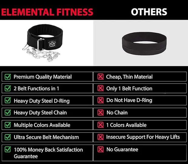 2 in 1 Weight Lifting & Weighted Dip - Product Image