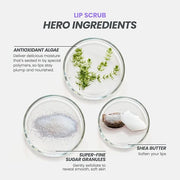 Wonderskin 3-in-1 Lip Scrub Exfoliator &