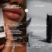 SPF 15 Lip Balm – Lip Moisturizer with SPF, Broad Spectrum Chapstick Hydration Lip Balm, Vegan & Cruelty-Free, Shea Butter...