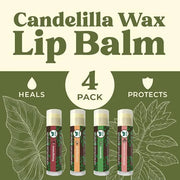 Vegan Lip Balm by Earth’s Daughter,