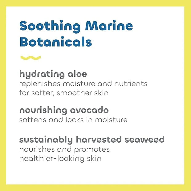 Seaweed Bath Co. Clear Guard SPF 40 Sport Broad Spectrum Sunscreen Spray, 6 Ounce, Sustainably Harvested Seaweed, Aloe, Av...