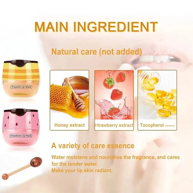 2PCS Bee Lip Balm Honey Pot