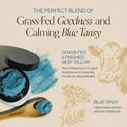 Beef Tallow For Face & Body | Grass Fed & Finished Beef Tallow Balm Infused with Essential Oils (Lavender, Jojoba) | Face ...