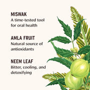 Banyan Botanicals Mint Cardamom Tooth Powder – Ayurvedic Fluoride-Free Toothpaste Alternative with Miswak & Activated Char...