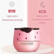 3PCS Bee Lip Balm Honey Lip Exfoliator
