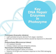 PHOTOZYME iQuad Total Eye Therapy with DNA Repair Enzymes | Anti Aging Eye Cream | Use to Reduce Bags, Dark Circles, Puffi...