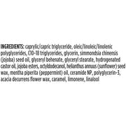 Burt's Bees Overnight Intensive Lip Treatment,