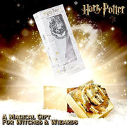Harry Potter Gifts for Girls Hair Brush for All Hair Types Detangling Styling Women Beauty Accessories Handbag Size Offici...