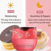 3 PCS Bee Lip Balm Lip