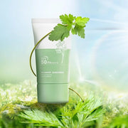 Heartleaf Sunscreen, Heartleaf Silky Moisture Sun Cream, Airy Moisture Daily Sunscreen, SPF 50+ PA++++ Skin Care, Matte & ...