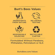 Burt's Bees Lip Balm - Mango, Lip Moisturizer With Responsibly Sourced Beeswax, Tint-Free, Natural Origin Conditioning Tre...