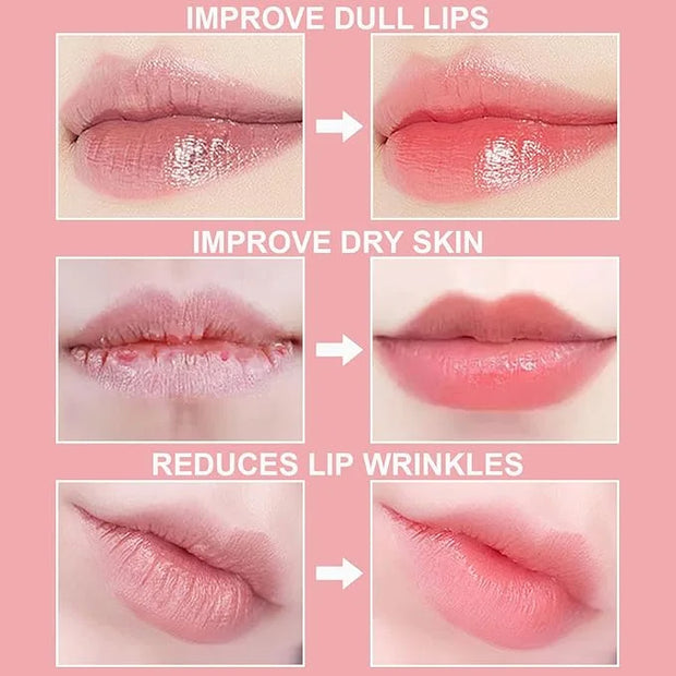 3Pcs Lip Balm Honey Pot Lines
