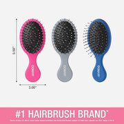 Conair Detangling 3PK mini hair brush - use wet or dry - ideal for curly or straight styles - detangler hairbrush - hairbr...
