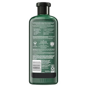 Herbal Essences Avocado & Argan Oil Sulfate Free Shampoo, 13.5 fl oz (Pack of 2) - Product Image