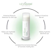 Ultra Big Lip Balm Stick VERY BERRY – Natural Waterproof Lip Moisturizer for Dry, Chapped Lips – Nourishing and Hydrating ...