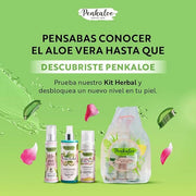 Penkaloe Aloe Skincare Kit | Cuidado Natural para la Piel, Control de Grasa y Mejora de la Apariencia | Aloe Skincare Rout...