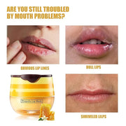 Honey Lip Balm Pot, Propolis Lip
